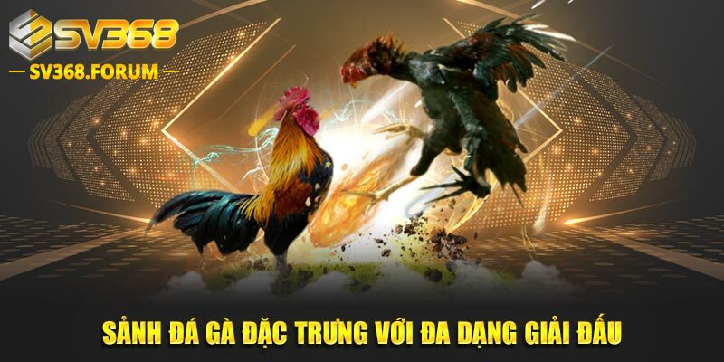 Sảnh đá gà đặc trưng với đa dạng giải đấu