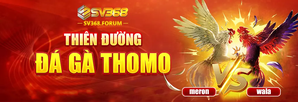 Thiên đường Đá gà THOMO