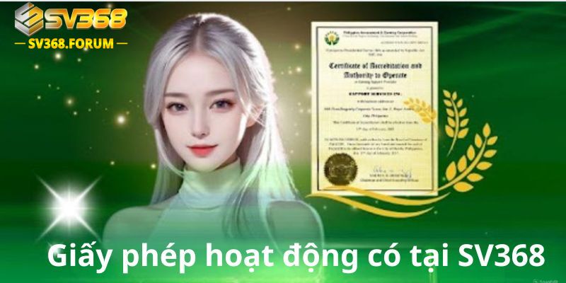 Tổng hợp những loại giấy hoạt động tại SV368