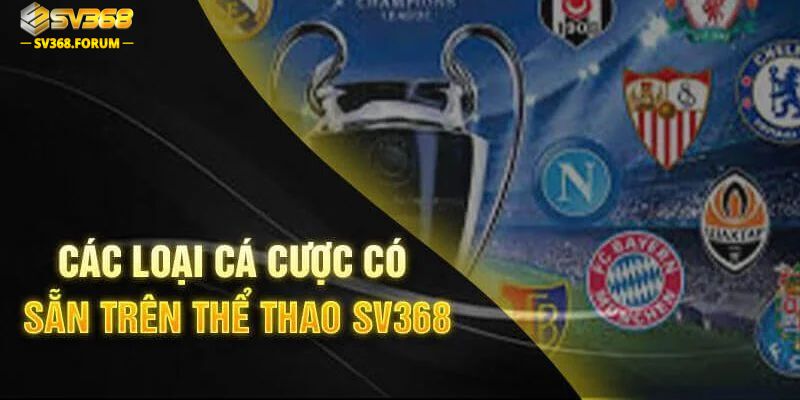 Các siêu phẩm về cá cược thể thao đỉnh cao