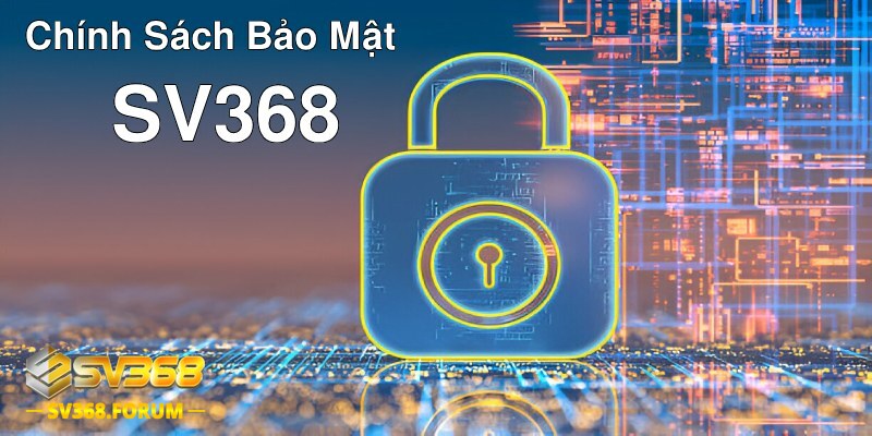 Bao quát chung về chính sách bảo mật SV368