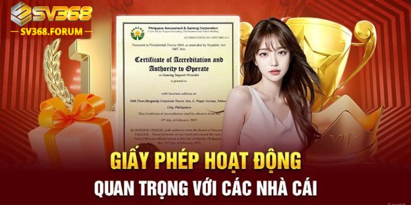 Tầm quan trọng của giấy hoạt động