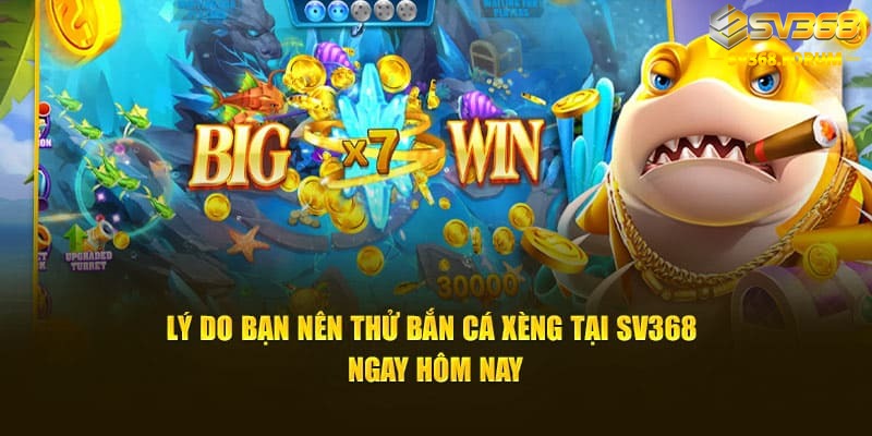 Lý do bạn nên thử bắn cá xèng tại SV368 ngay hôm nay